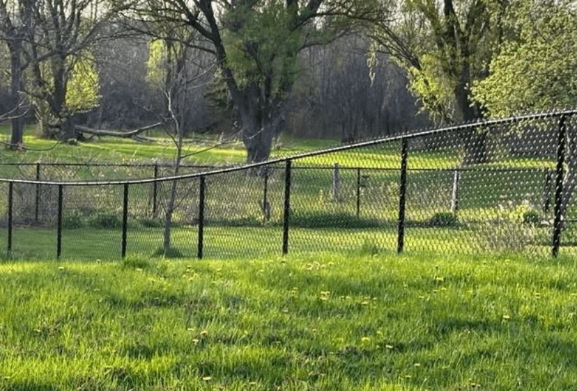 5-foot chain link fence installed by VanDuzen Fence