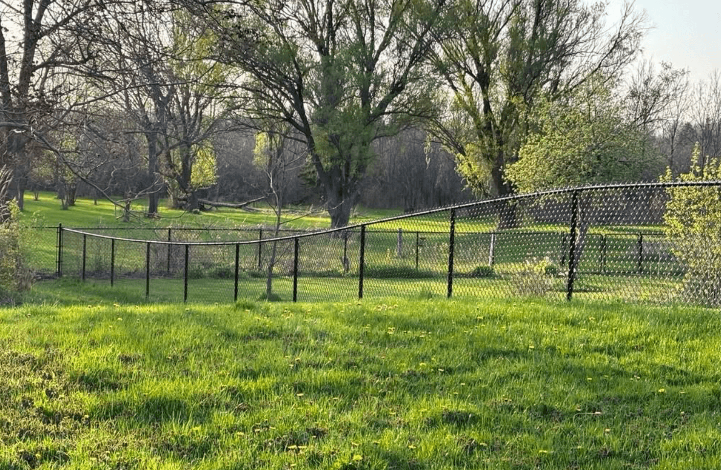 Chain link fence by VanDuzen Fence